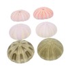 Zerodeko 6Pcs Sea Ornaments Aquarium Decorations for Fish Tanks and