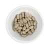 Cham Goods 우슬 추출물 복합정 120정 1통 Horsetail Extract Complex