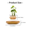 KIYOMING Levitating Plant Pot Hexagon Floating Air Bonsai Pot Suspension
