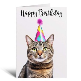 Postcard Prints - Birthday Card For Her Card For Friend Mum or Sister Birthday Card For Him Brother Dad Happy Birthday Card of Tabby Cat Fun Birthday Card