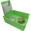 Dental Lab Pan Green 12/Box Quality Color Coded Organization