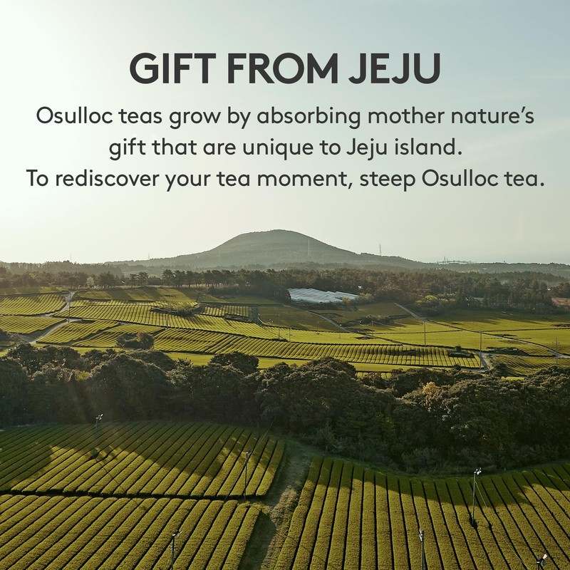 OSULLOC Premium Tea Collection (40 count, 10 flavors x 4