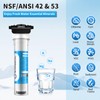 WINGSOL Jumbo Under Sink Water Filter Replacement, 5-in-1, Long-lasting, Reduces