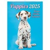 KALPA Puppy Calendar 2024: 12 Month Wall Calendar (24 x