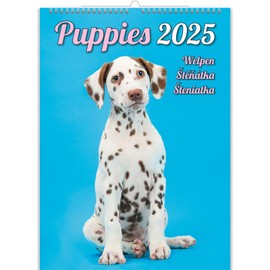 KALPA Puppy Calendar 2024: 12 Month Wall Calendar (24 x 33 cm), Dog Calendar 2024 Small in Portrait Format, 12 Pages Monthly Photo Calendar, A Year of Dog Joy