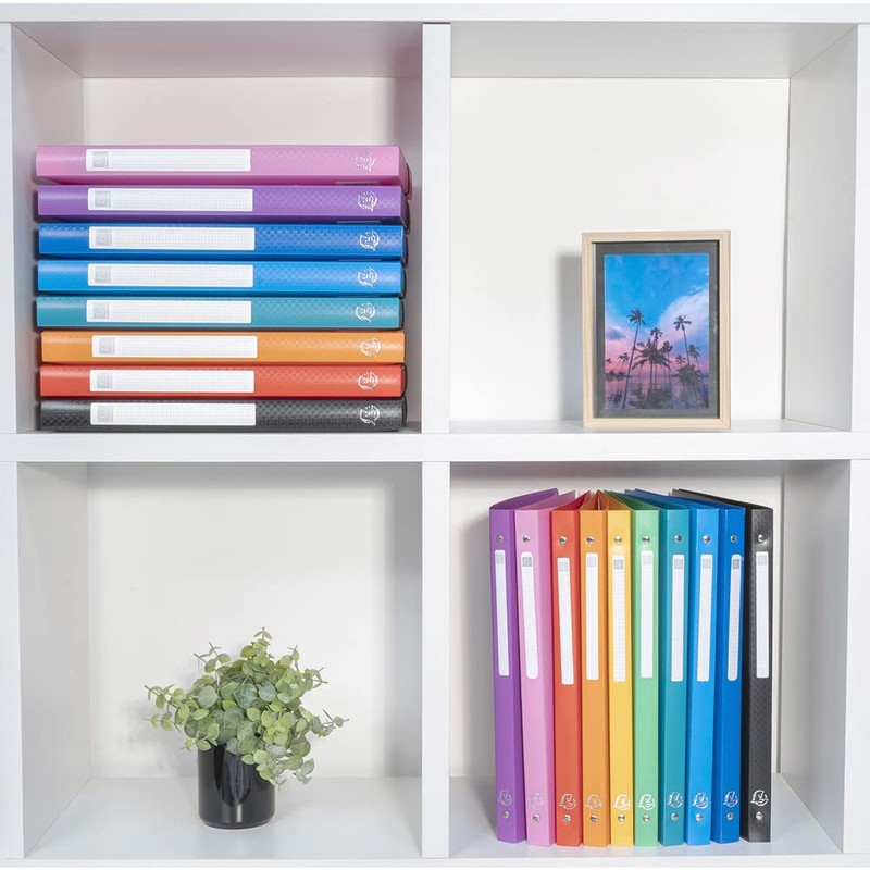 Exacompta OPAK 51192E Ring Binder DIN A4 Plastic with 4