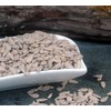 Naturix24 - Sunflower Seeds Peeled 1 kg