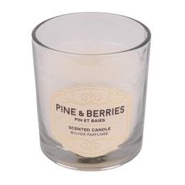 RELAXUS Aromatherapy Soy Candle Set: Perfect Home Scented Candles for Stress Relief, Meditation, Yoga, Spa, and Relaxation, (Pine & Berries, 6 Pack)