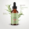 Pack of 2 Rosemary Oil for Hair, Rosemary Oil Hair,