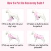 FEimaX Dog Surgery Recovery Suit with Pee Hole - Post-Surgery