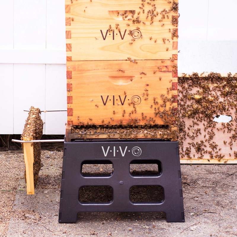 VIVO Black Plastic Beehive Stand for 10 Frame Langstroth Hives,