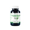 Alzuro Labs Polypodium Leucotomos | 2,400 mg Equivalent (240 mg