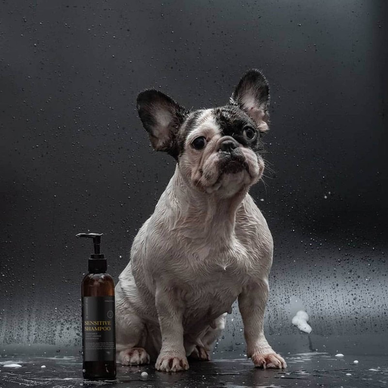 Essential Dog Sensitive Dog Shampoo - Chamomile, Sweet Orange &