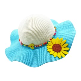 Sombreros de sol de ala grande para niños, multicolor, para playa, Azul, Talla única