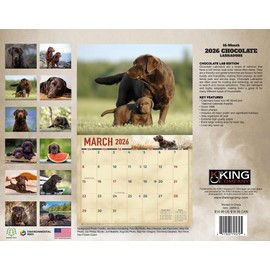 2026 Chocolate Labrador Dog Wall Calendar 16-Month X-Large Size 14x22, Chocolate Lab Dog Calendar by The KING Company-Monster Calendars