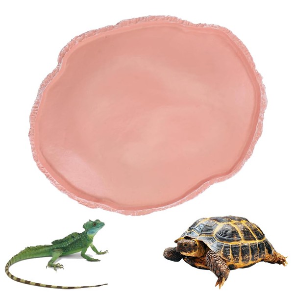 Reccisokz 1 Item Water Bowl Terrarium, Turtle Accessories, Turtle Terrarium,