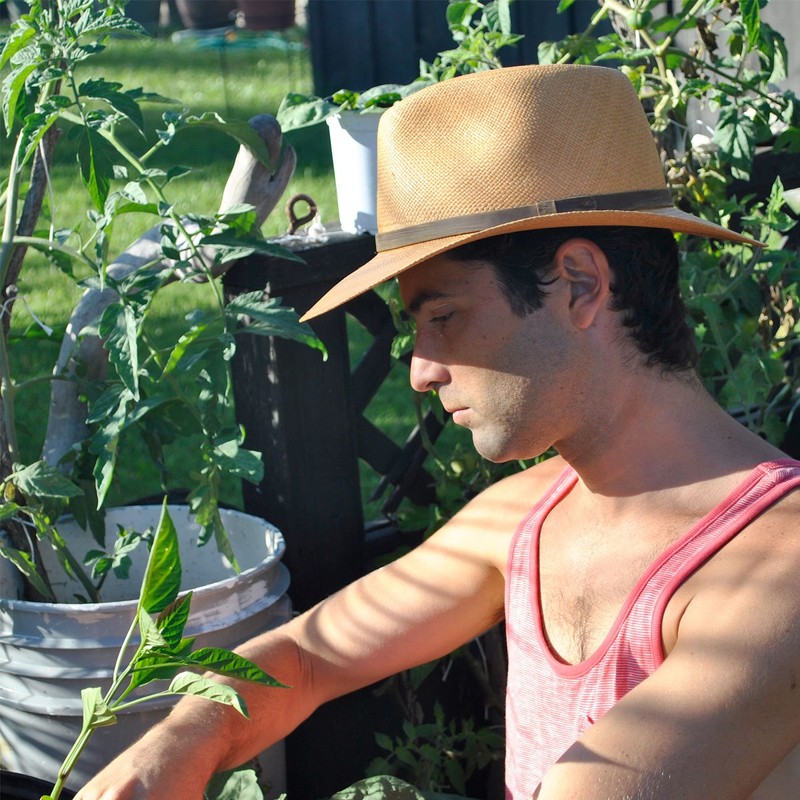 Jaxon MJ Panama Straw Outback Hat (Medium, Putty)