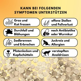People who Kaer Darm Balance Drops für Hunde, 60 Tabletten, Probiotika & Präbiotika, Darmflora Aufbau Hund unterstützt bei Durchfall und Darmsanierung, Tabletten mit Flohsamenschalen und Inulin