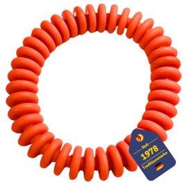 BEST SPORTING Diving Rings for Children 14 cm I Children's Diving Rings Ideal for Seahorses etc. I Diving Toy for Children I Diving Rings for Children Set I Diving Ring Children (Slats Orange)