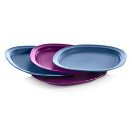 Tupperware Picnic Plates Set of 4 Reusable Motorhome Lunch Plates (Blue/Purple, Set of 4)
