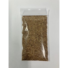 Link Zenith Zoysia 12,000 Grass Seeds for a Healthy Low-Maintenance Lawn - 1 ounce