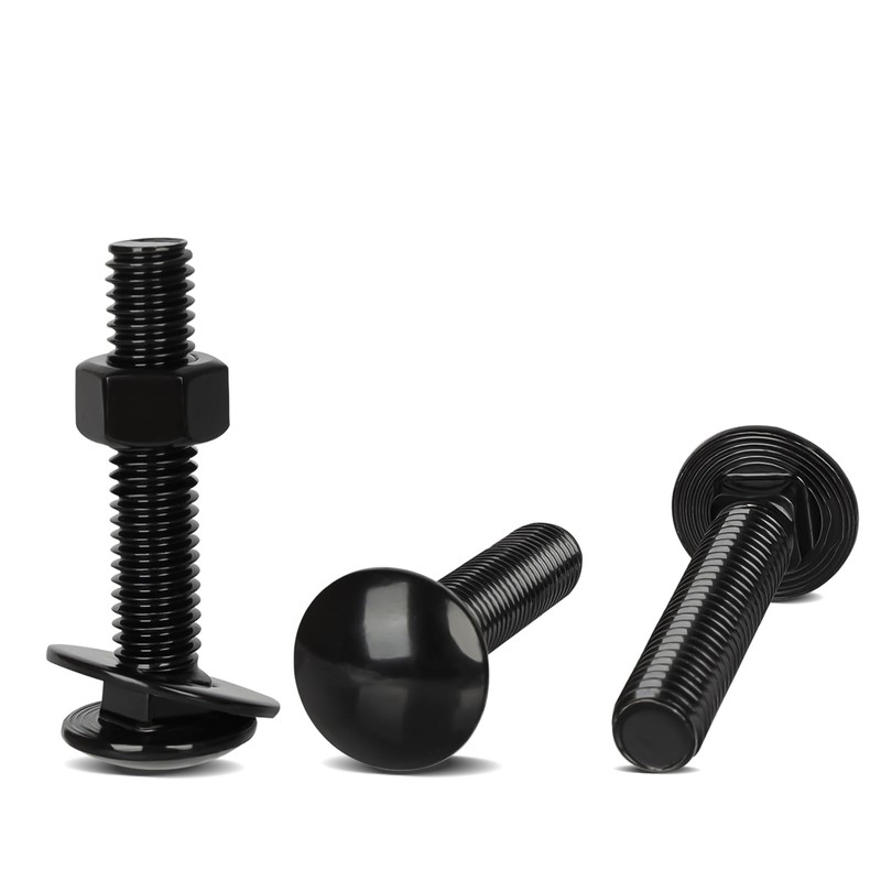 1/4-20 x 1-1/2" Carriage Bolt Kit, Stainless Steel 304 Carriage