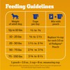 Pedigree Complete Nutrition Adult Dry Dog Food, Roasted Chicken &