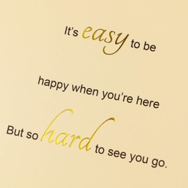 TzenvoGift 2-Pack goodbye card Farewell Card – we will miss you cards – Elegant Design, Blank Inside – Includes 2 Envelopes & Stickers