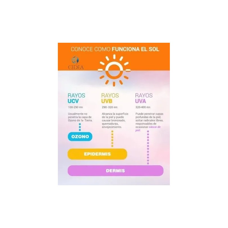 Bloqueador Solar, Protector Solar Facial 50+ Coco Sheló Nabe
