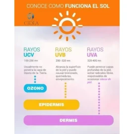 Bloqueador Solar, Protector Solar Facial 50+ Coco Sheló Nabe