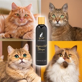 Chris Christensen Top Cat Gorgeous Gold Shampoo for Cats, Groom Like a Professional, Enhances Gold Tones, Great on All Coats, Made in USA, 32 oz
