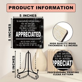 Funny Office Desk Decor, Appreciated Wooden Sign with Stand, Birthday Christmas Thank You Gifts for Women Men Leader Boss Mentor Coworkers, Cute Cool Desk Accessories for Home Office-B15