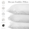 Dreamland Baby Premium Toddler Pillow and Pillowcase, 13 x 18.