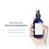[ Pyunkang Yul ] Mist Toner 100 milliliter / 3.3