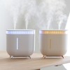 Humidifier 2L Capacity USB Charging Delicate Double Spray Humidifier with