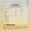 Probiticos 60 Billones UFC 11 Cepas Probiticas Suplemento Digestivo Frmula