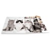 HERMA 19212 Portfolio Folders A4 Animals Cats, Pack of 3,