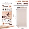 Qualirey 12 Pack Spider Traps Indoor for Brown Recluse Spiders,
