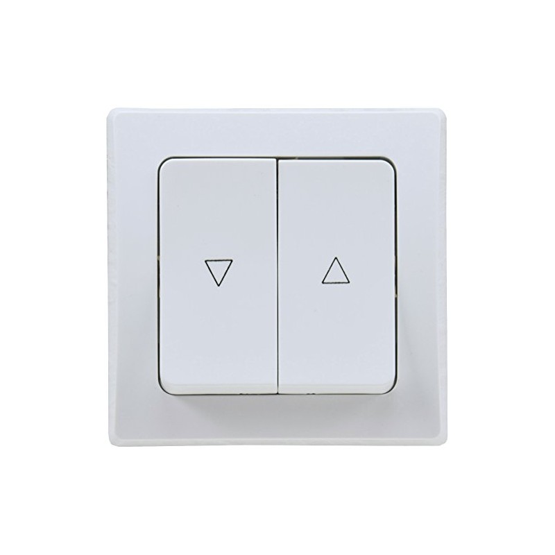 Delphi Blind Switch Flush-Mounted 0-250 V ~ / Max. 10