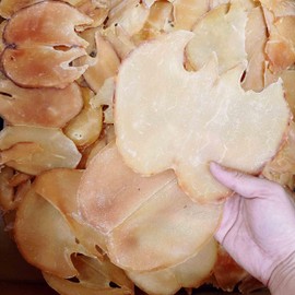 South African Golden Good shape Large Size Dried whelk Conch Slices Conch Cracker Slices 南非黃金大螺片 Free worldwide airmail (1000 grams (around 15 pieces))