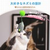 SONGWAY Cat Teaser Mouse Toy Popular Mouse Relieves Lack of