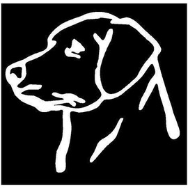 White Vinyl Decal - Lab Head - Dog - Puppy pup Labrador Retriever Hunt Fun, Die Cut Decal Bumper Sticker for Windows, Cars, Trucks, Laptops, Etc.