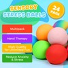 Stress Balls 24 Pack for Kids Adults, 2.5" XL Sensory