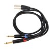 Dual 1/4 Inch to XLR Male Y Splitter Cable XLR