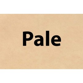 Hide Ink Temporary Tattoo Cover Up 4" x 6" - PALE COLOR (5-Pack)