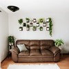 Daniel's Plants 3 Pack Midcentury Modern L Shaped Floating Shelves