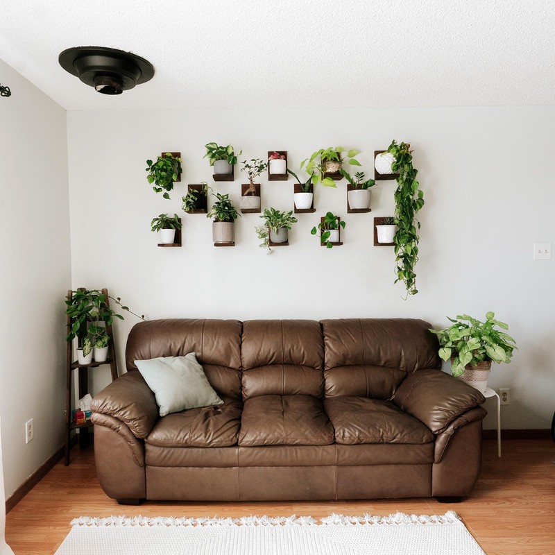 Daniel's Plants 3 Pack Midcentury Modern L Shaped Floating Shelves