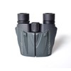 SIGHTRON Binoculars, Porro Prism, 8 x 1.0 inch (25 mm)