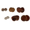 Coins of the Great Plagues Box Set Collection – Seleucid,
