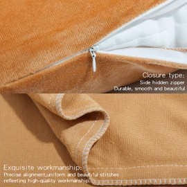 NTBAY 2 Pack Zippered Velvet King Pillowcases, Super Soft and Cozy Luxury Fuzzy Flannel Pillow Cases with Zipper, 50x90 cm, Camel